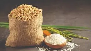Giá lúa gạo hôm nay 18/5/2023: Gạo tăng nhẹ, xuất khẩu gạo sang EU đã vượt hạn ngạch