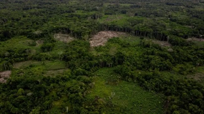 Bốn trẻ em sống sót thần kỳ sau vụ tai nạn máy bay ở Colombia