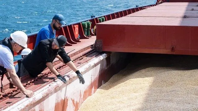 “Hành lang ngũ cốc” trên Biển Đen chưa hoạt động lại