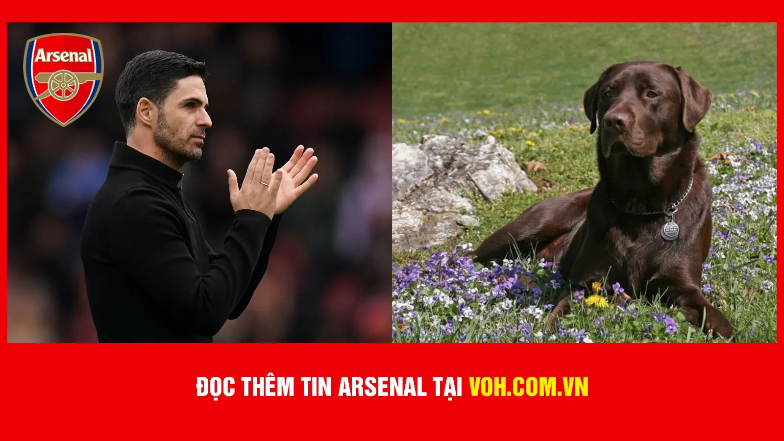 Mikel Arteta ký hợp đồng với tân binh mới để gia tăng sức mạnh tinh thần