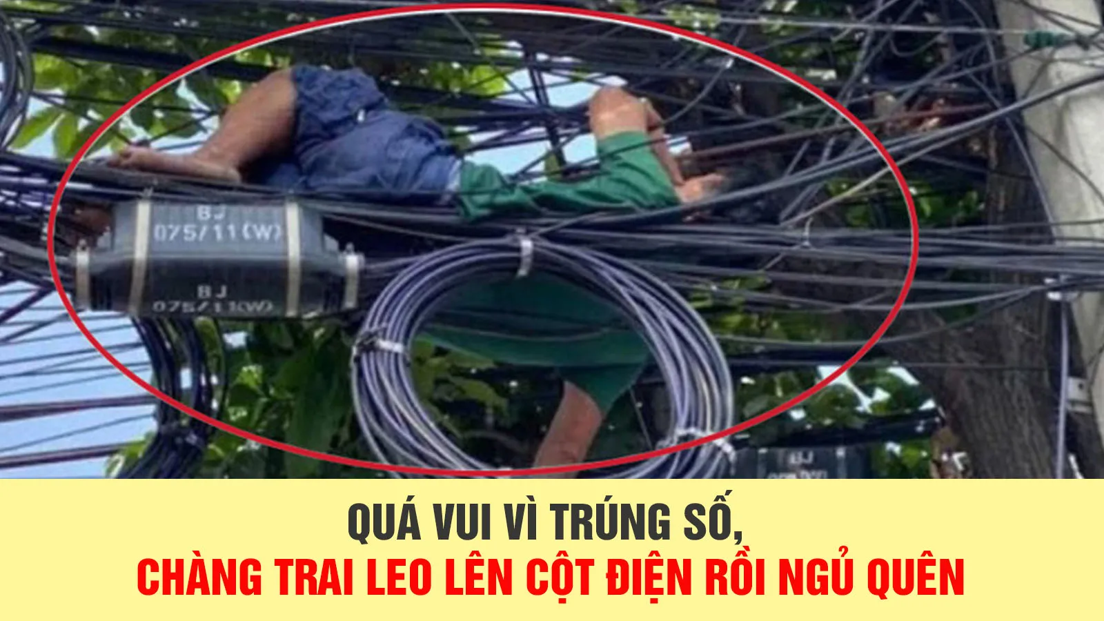 Quá vui vì trúng số, chàng trai leo lên cột điện rồi ngủ quên