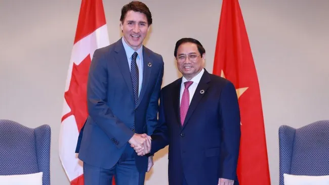 Canada, Ấn Độ và Comoros mong muốn tăng cường quan hệ hợp tác với Việt Nam