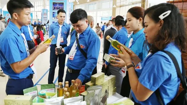 Bộ GDundefinedĐT tạo môi trường hỗ trợ sinh viên khởi nghiệp