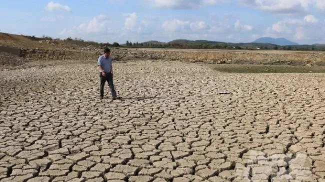 Khẩn trương ứng phó hạn hán, xâm nhập mặn do ảnh hưởng của El Nino