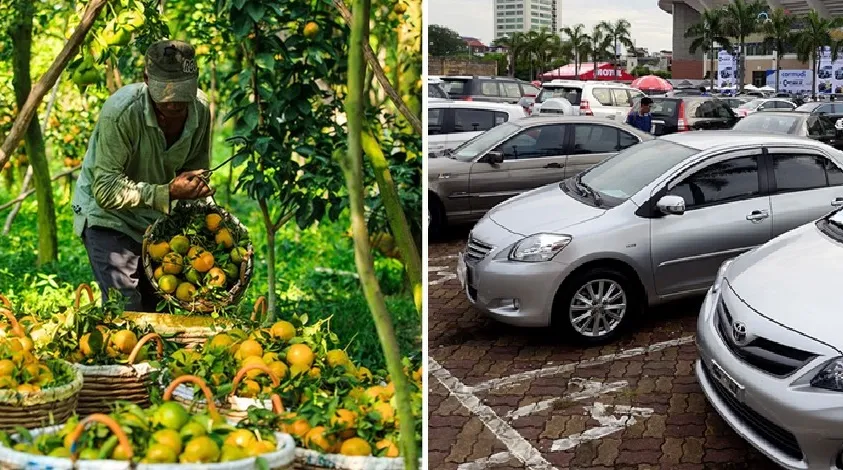 Điểm tin sáng 28/5: Chỉ 20% nông sản Việt đạt tiêu chuẩn quốc tế | Ôtô cũ hút khách