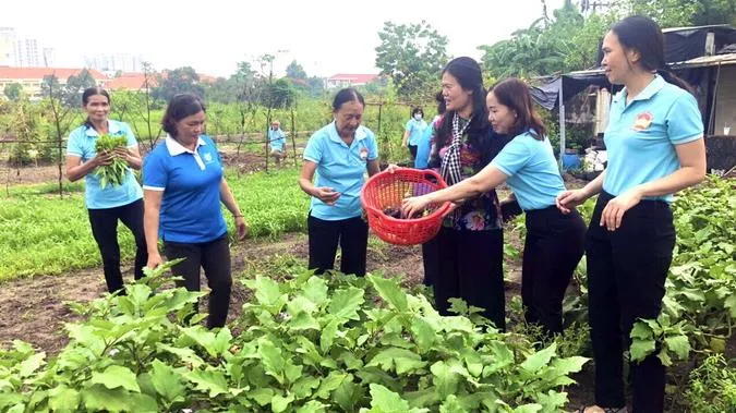 Thành phố Thủ Đức: Biến bãi rác thành vườn rau sạch