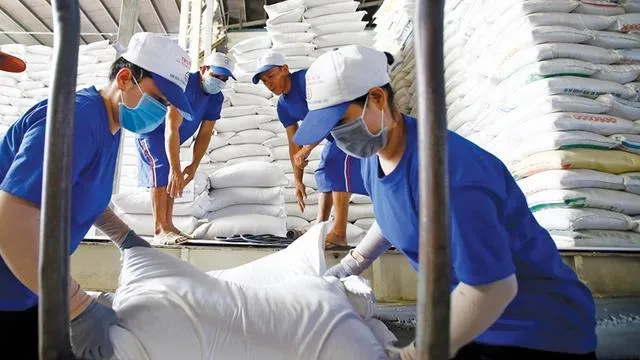 Giá lúa gạo hôm nay 31/5/2023: Việt Nam sẽ đa dạng hóa thị trường xuất khẩu gạo