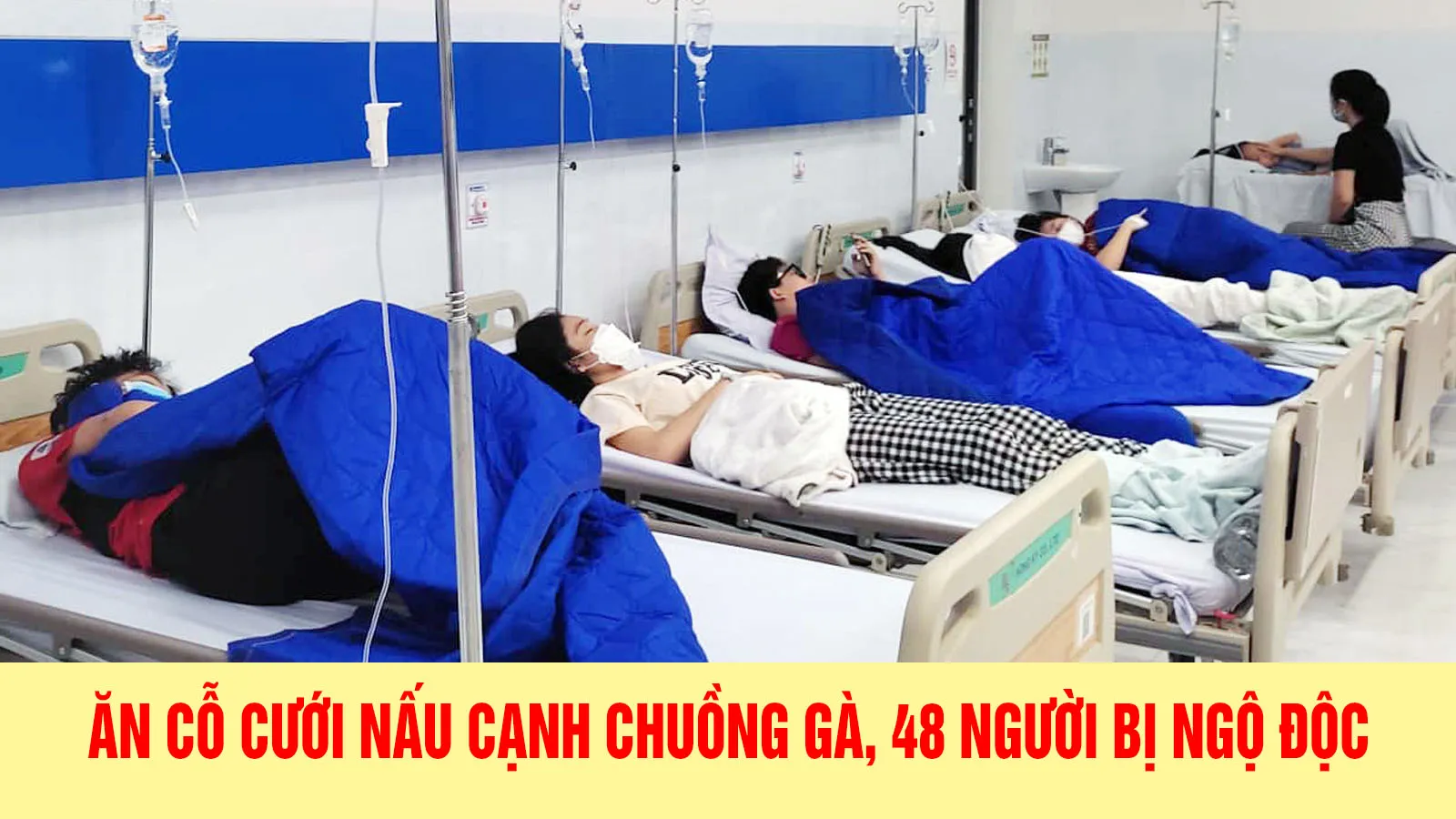 Ăn cỗ cưới nấu cạnh chuồng gà, 48 người bị ngộ độc