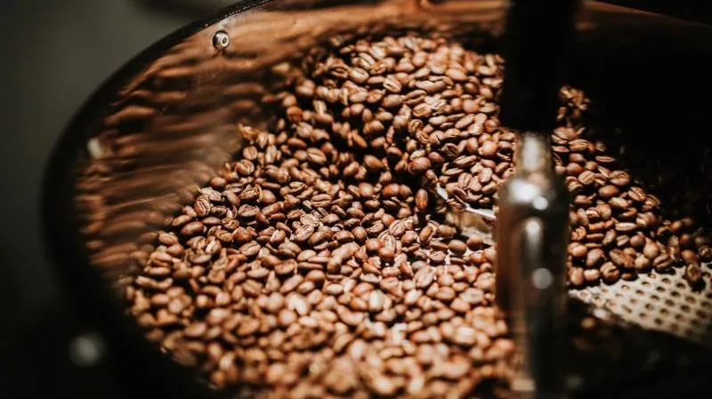 Giá cà phê hôm nay 2/6/2023: Bật tăng mạnh