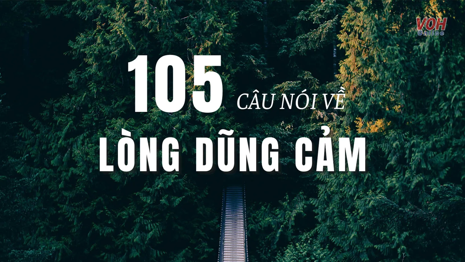 105 câu nói về lòng dũng cảm hay nhất