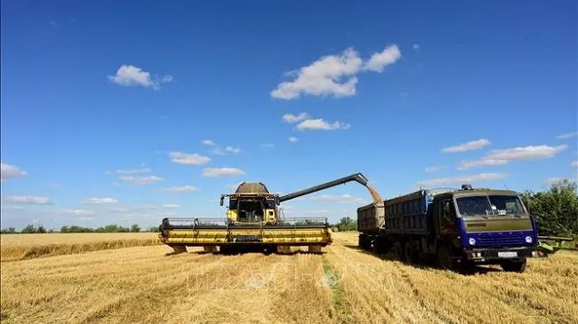 Nga hạn chế tàu đến các cảng Ukraine, gây thêm khó khăn cho thỏa thuận ngũ cốc Biển Đen