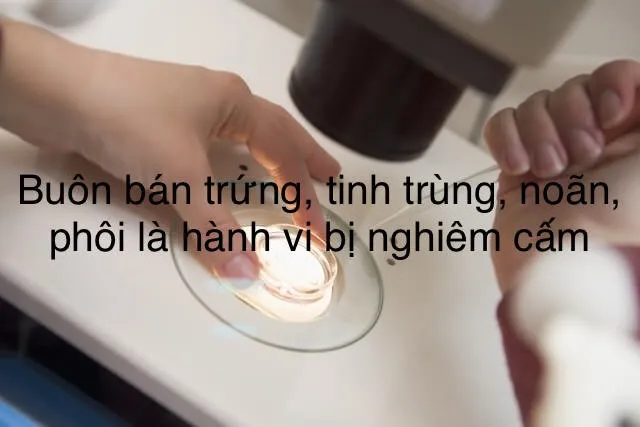 Xử nghiêm nhân viên bệnh viện tiếp tay mua bán trứng, tinh trùng