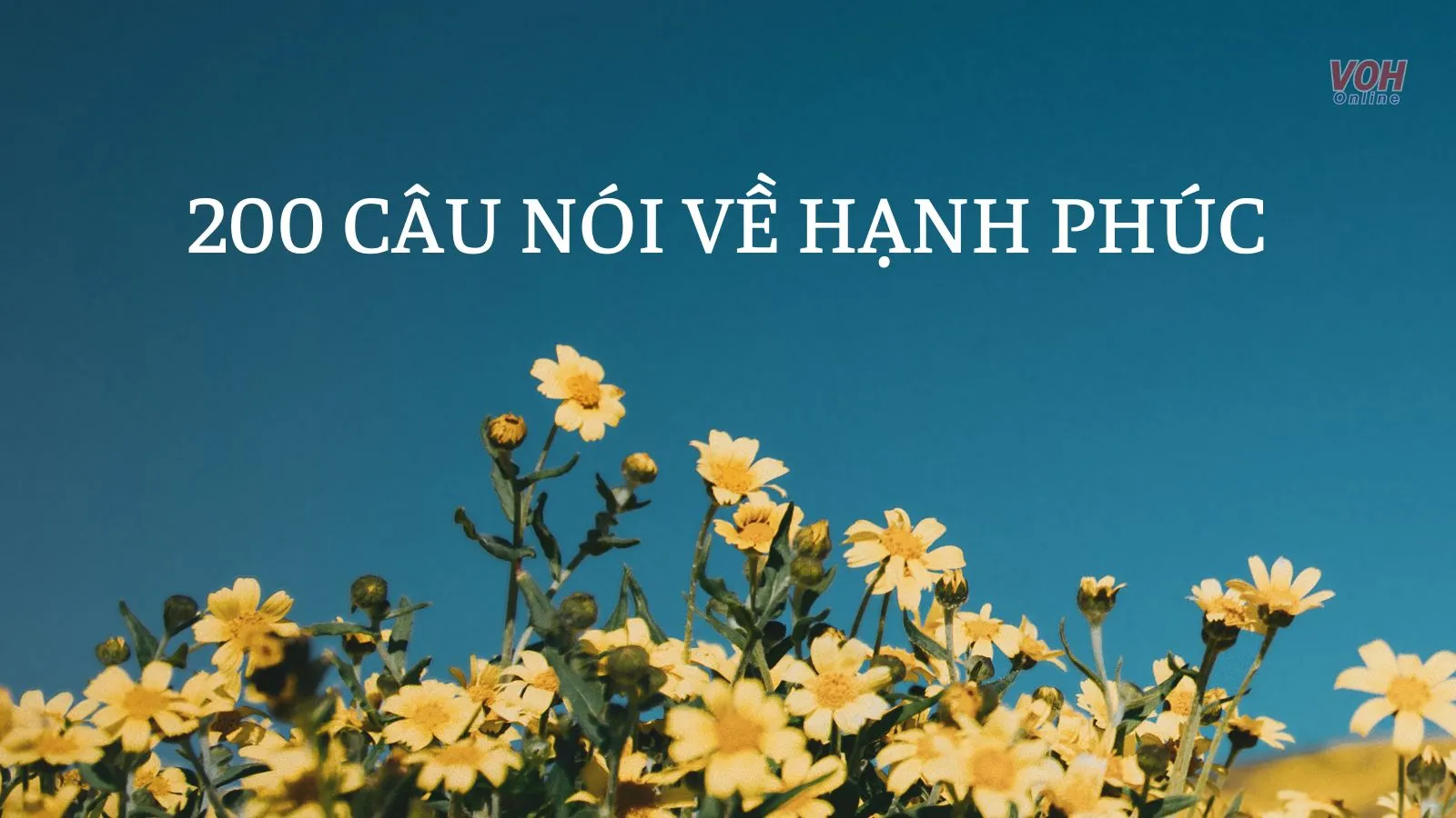 200 câu nói về hạnh phúc ý nghĩa nhất