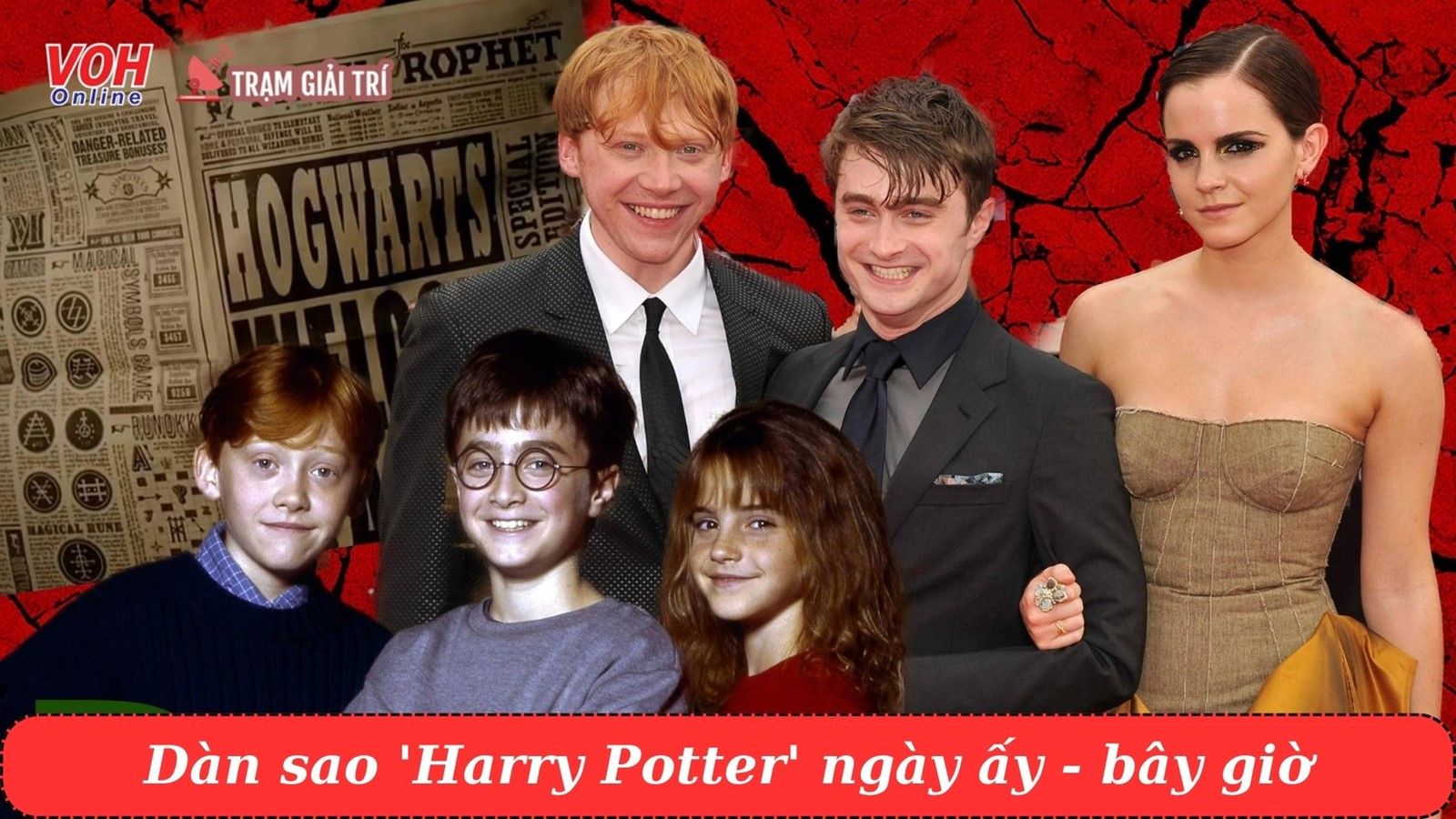Dàn diễn viên phim Harry Potter ngày ấy và bây giờ
