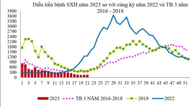 TPHCM: Nguy cơ bùng phát dịch bệnh tay chân miệng và sốt xuất huyết