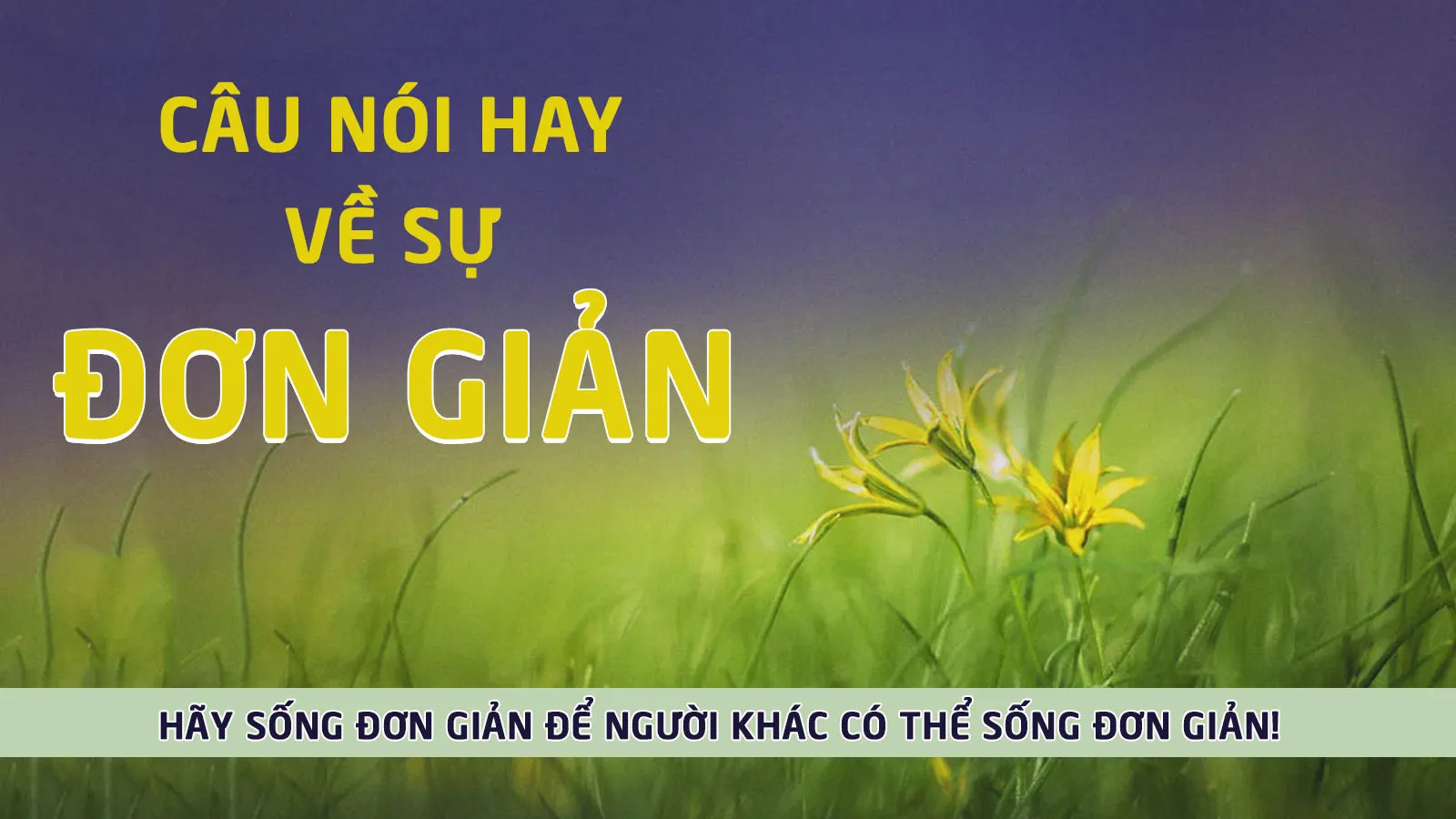 100 danh ngôn, châm ngôn, câu nói hay về sự đơn giản ý nghĩa