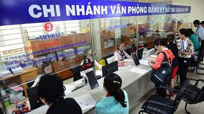 Điểm tin sáng 9/6: TPHCM tăng 2 loại phí giao dịch nhà đất từ ngày 1/6 | Ngộ độc nấm, một người tử vong