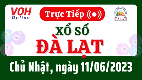 XSDL 11/6 - Kết quả xổ số Đà Lạt hôm nay chủ nhật ngày 11/6/2023