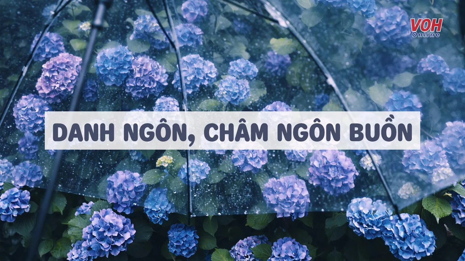 Những câu châm ngôn, danh ngôn buồn đọc là “thấm”