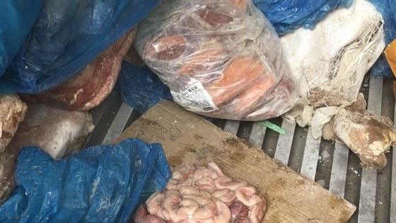Phát hiện 10 tấn nội tạng và thịt động vật trôi nổi