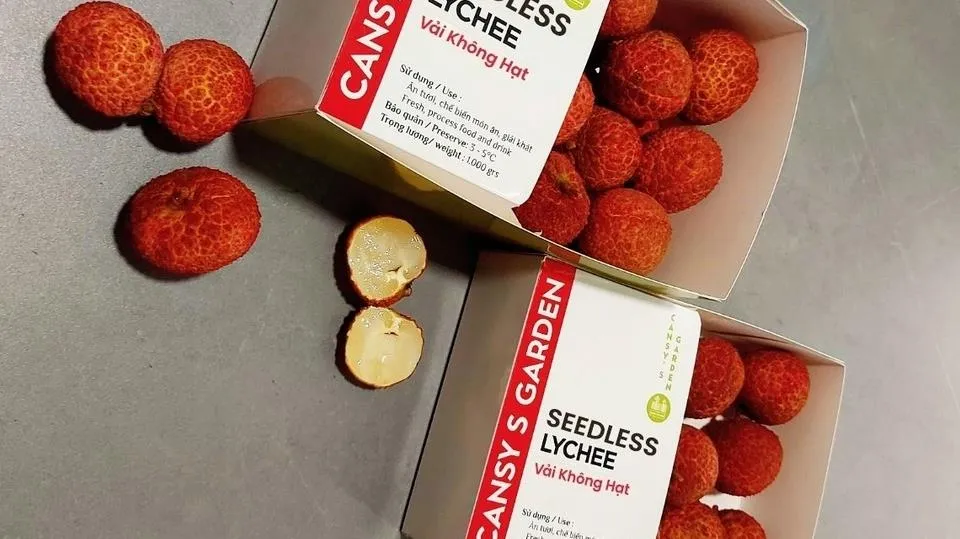 Vải thiều không hạt Việt Nam ra mắt thị trường Anh