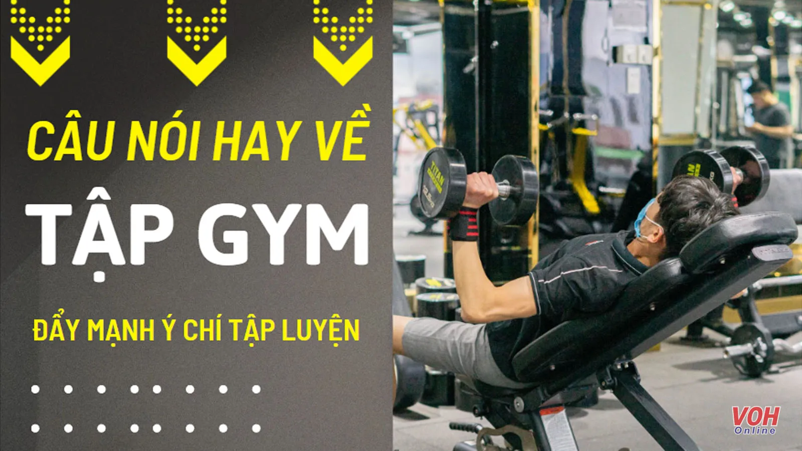 165 câu nói hay về gym giúp tăng động lực tập luyện