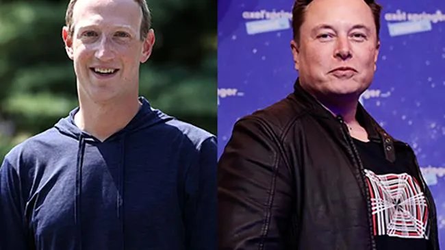 Elon Musk đòi đấu võ với Mark Zuckerberg