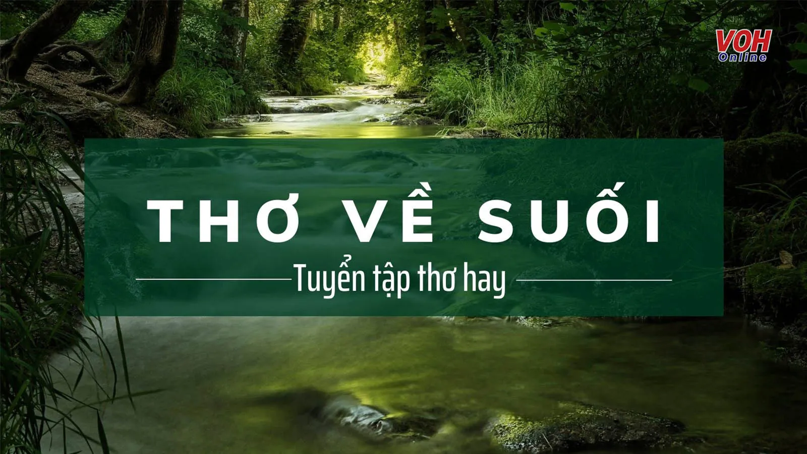 35 bài thơ về suối rừng nuôi dưỡng tâm hồn, tình yêu quê hương