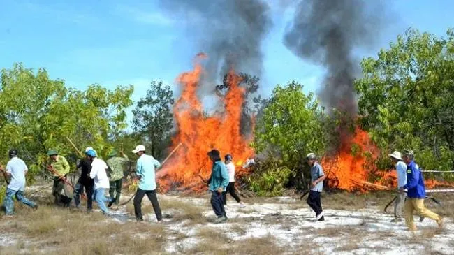 Diễn tập cứu hỏa làm cháy đen thân cây rừng phòng hộ: Sẽ rút kinh nghiệm