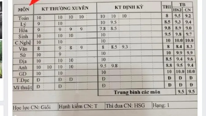 Thành tích thi tốt: Con nỗ lực chỉ để cha mẹ “hơn thua” với người ngoài