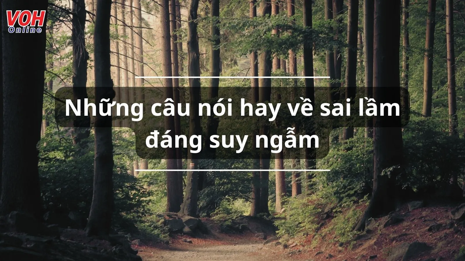 Những câu nói hay về sai lầm đáng suy ngẫm