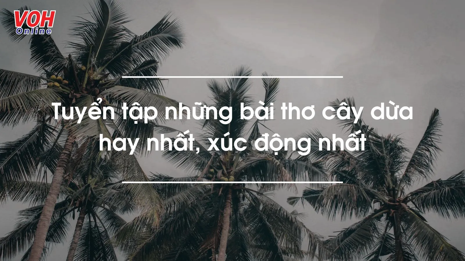 Tuyển tập những bài thơ cây dừa hay nhất, xúc động nhất