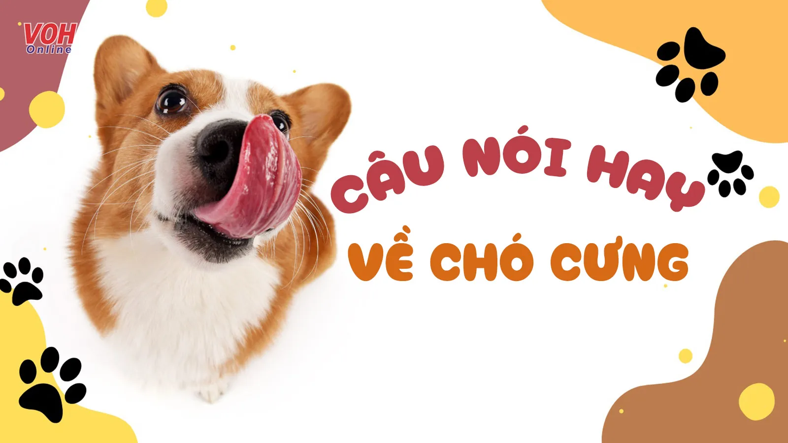 Stt về chó cưng, những câu nói hay về chó cực đáng yêu