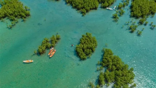 Gia hạn thí điểm dịch vụ tàu lặn tại Vịnh Nha Trang