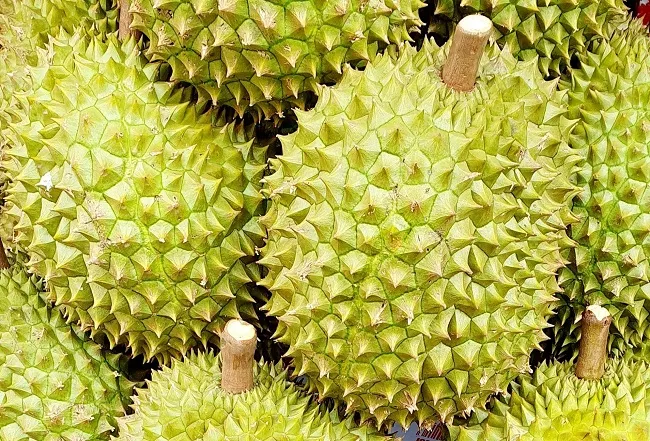 Trái sầu riêng lên đẳng cấp mới ở Trung Quốc