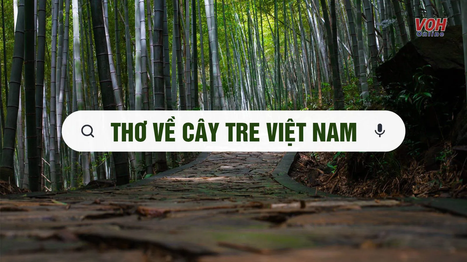 18 bài thơ cây tre Việt Nam thể hiện tình yêu quê hương, đất nước