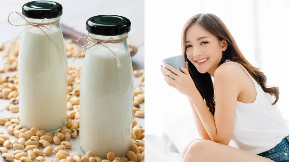 Loại sữa đậu nào thay thế được sữa bò?