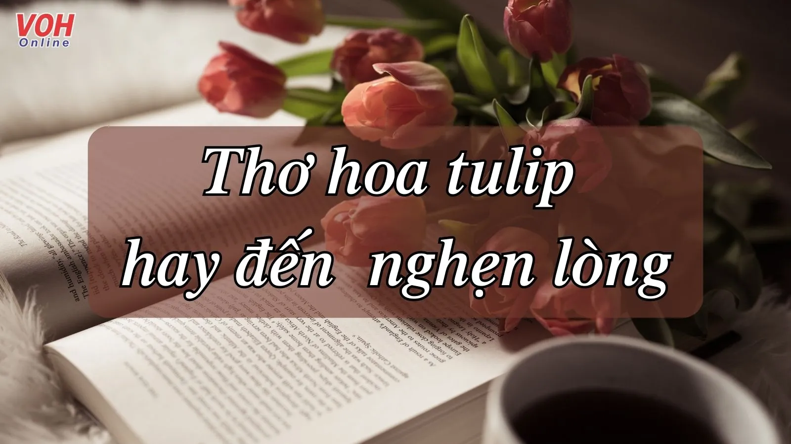 Thơ về hoa tulip, stt về hoa tulip hay, dạt dào cảm xúc