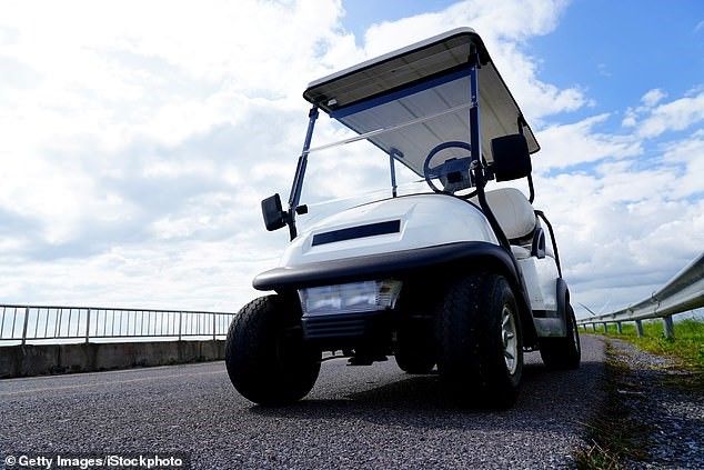 Mỹ: Cậu bé 3 tuổi lái xe golf đâm chết anh trai 7 tuổi