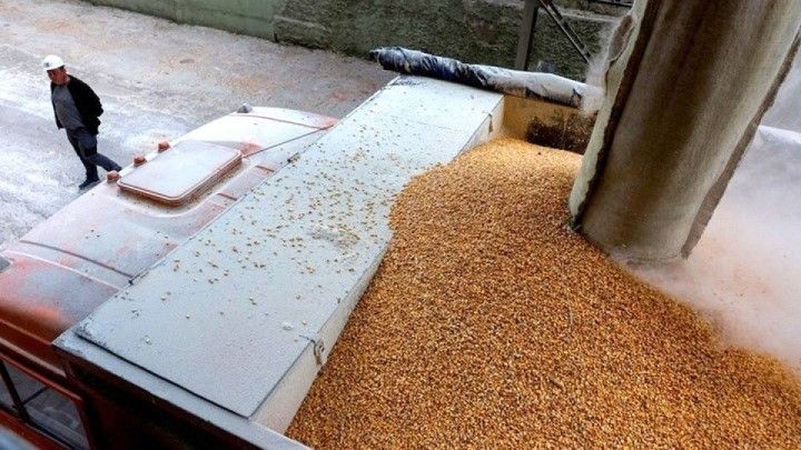 EU tính tăng nhập khẩu ngũ cốc của Ukraine bằng đường bộ