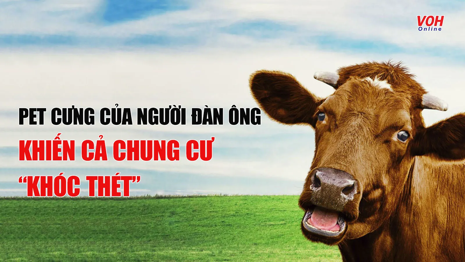 Pet cưng của người đàn ông khiến cả chung cư “khóc thét”