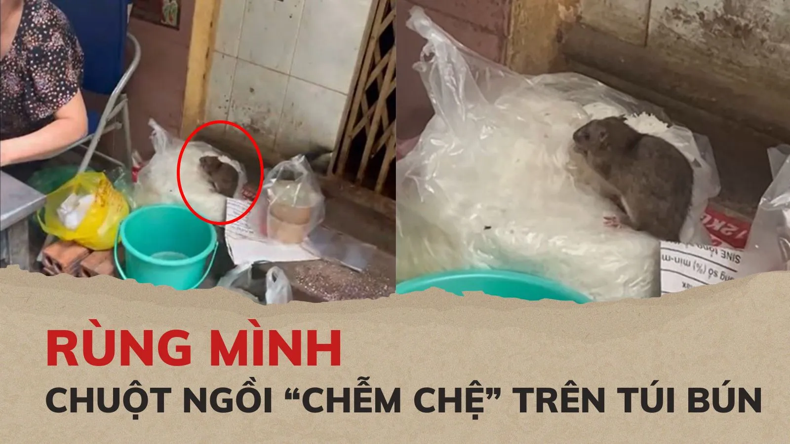 Xôn xao clip chuột ngồi “chễm chệ” trên túi bún tại một quán ăn