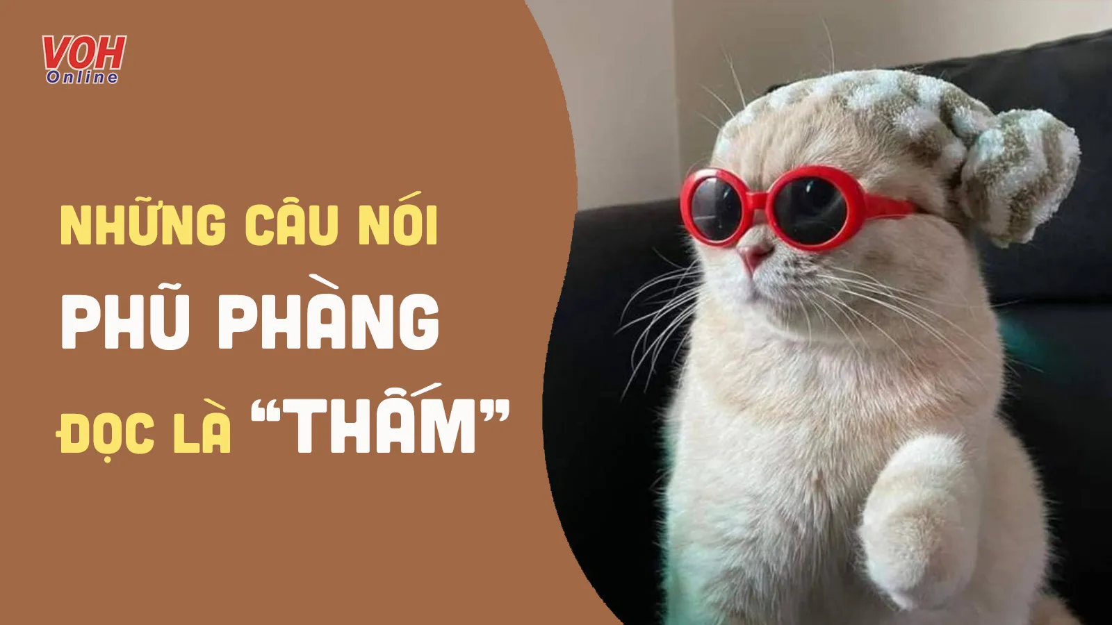 Những câu nói phũ hài hước, stt phũ nhưng thấm thía