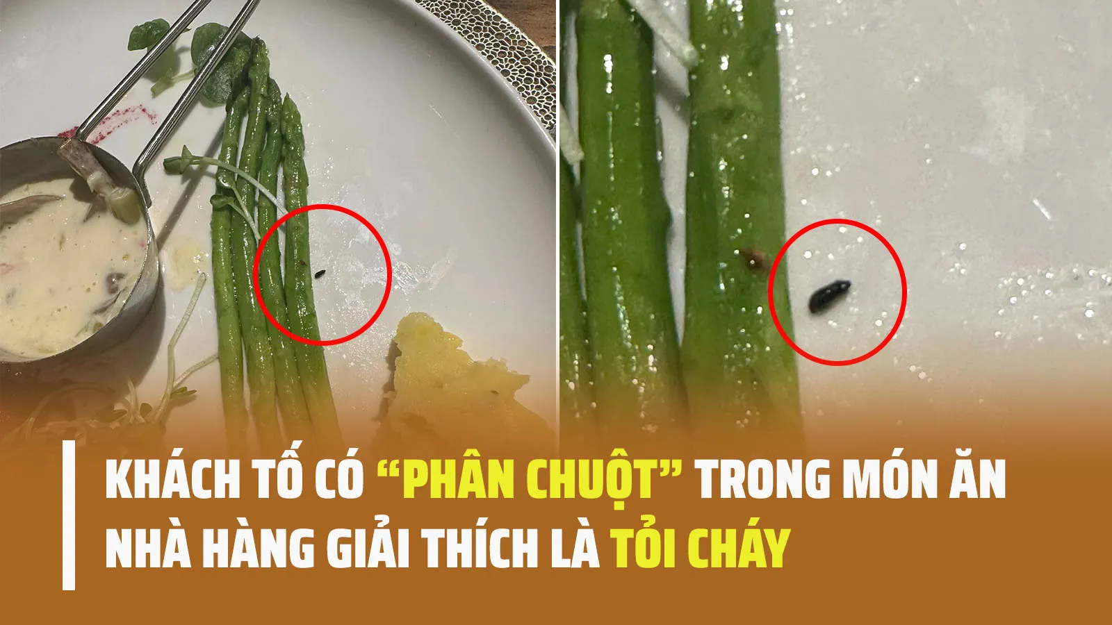 Một nhà hàng bị khách tố phục vụ món ăn có “phân chuột”