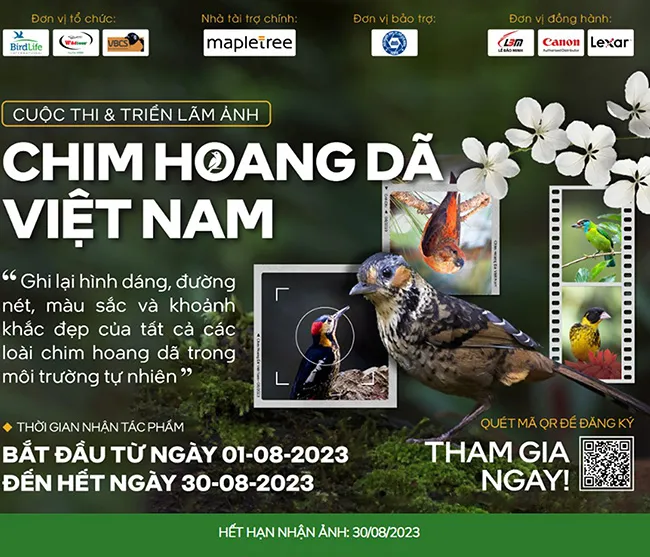 Thi ảnh “Chim hoang dã Việt Nam” - không khuyến khích ảnh chụp có sắp đặt