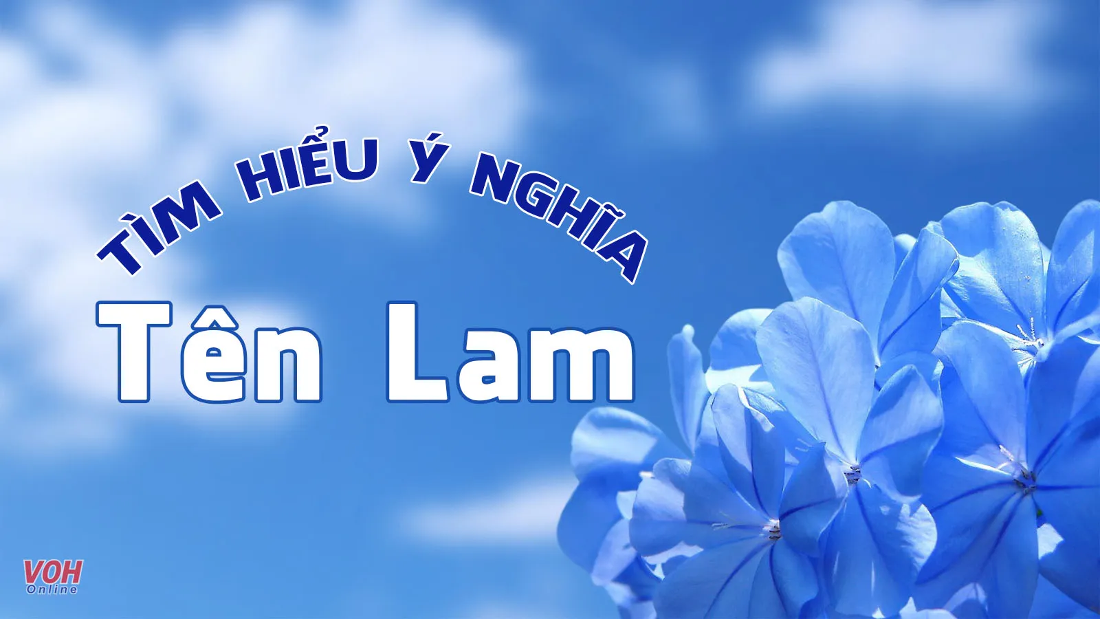 Ý nghĩa tên Lam, cách đặt tên đệm, tên biệt danh cho bé tên Lam