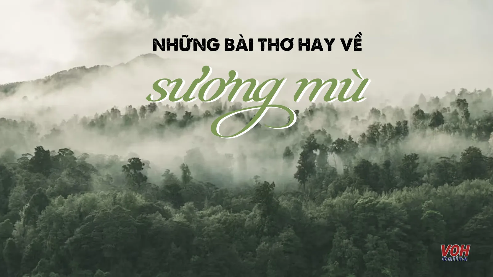 36 bài thơ về sương mù hay nhất