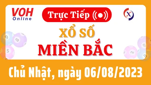 Xổ số miền Bắc hôm nay, XSMB 6/8, SXMB 6/8/2023 - Kết quả xổ số ngày 6 tháng 8