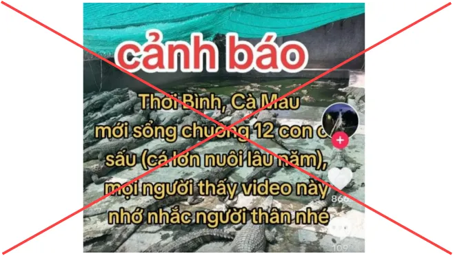 Xử phạt người tung tin giả “12 con cá sấu sổng chuồng