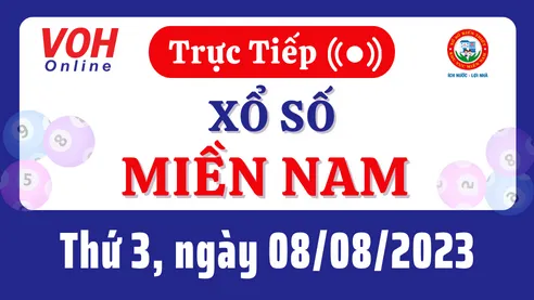 Xổ số miền Nam hôm nay, XSMN 8/8, SXMN 8/8/2023 - Kết quả xổ số ngày 8 tháng 8